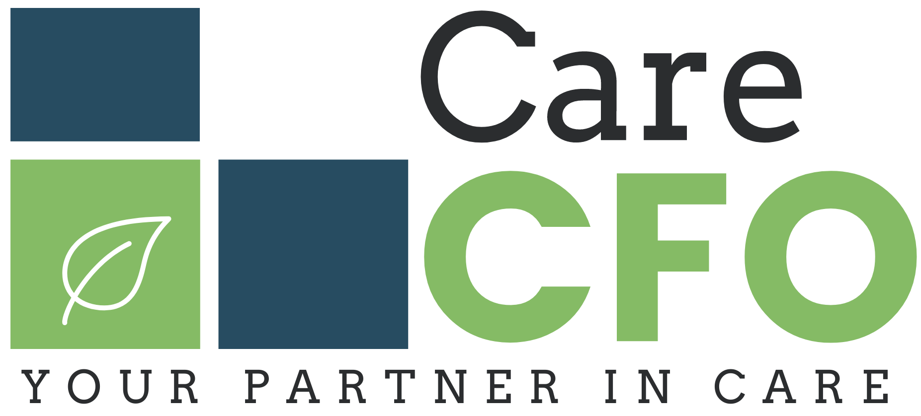 CareCFO - Logo